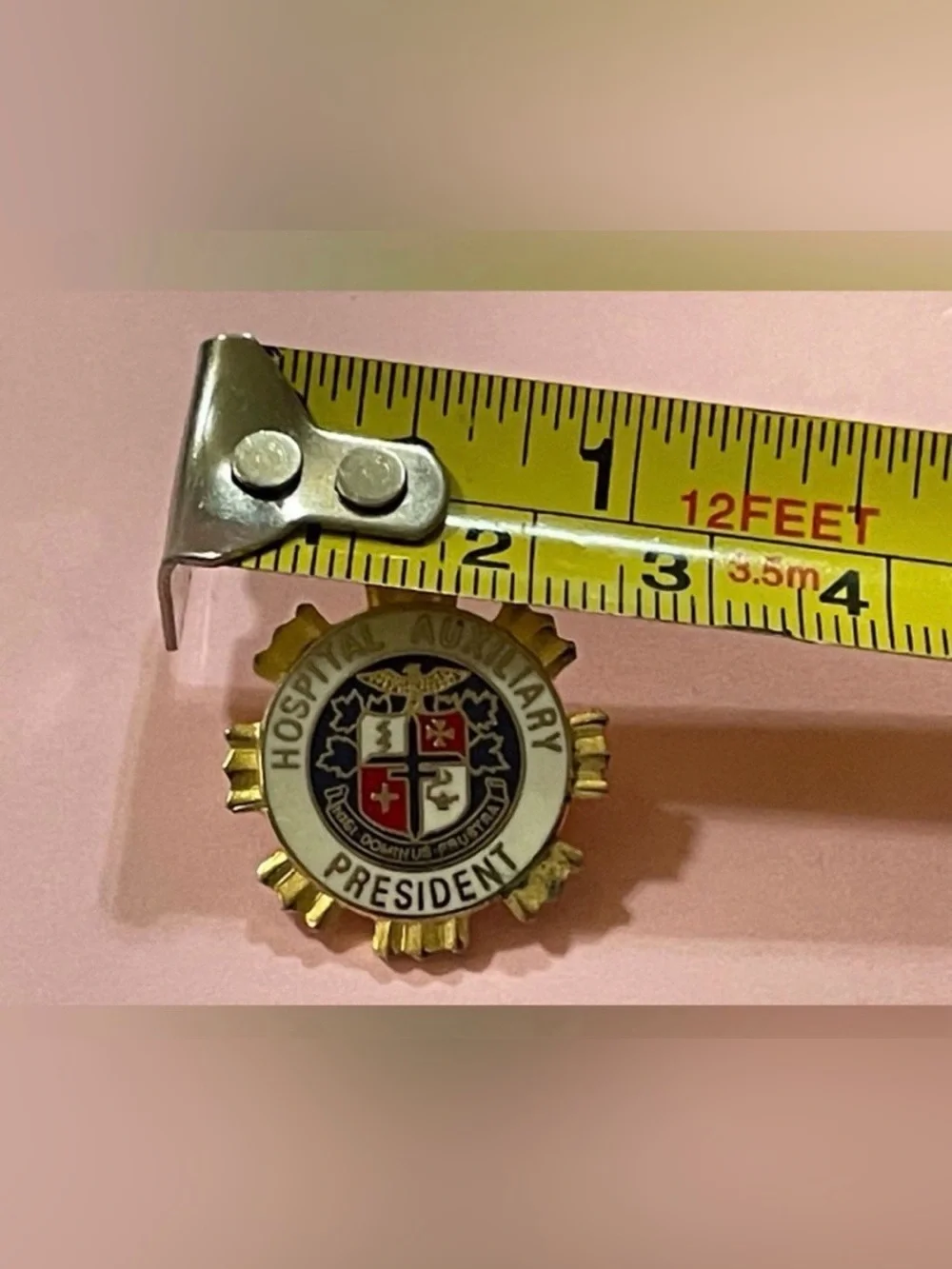 American Hospital Seal Hospital Auxiliary President Enamel Pin #9928 💎